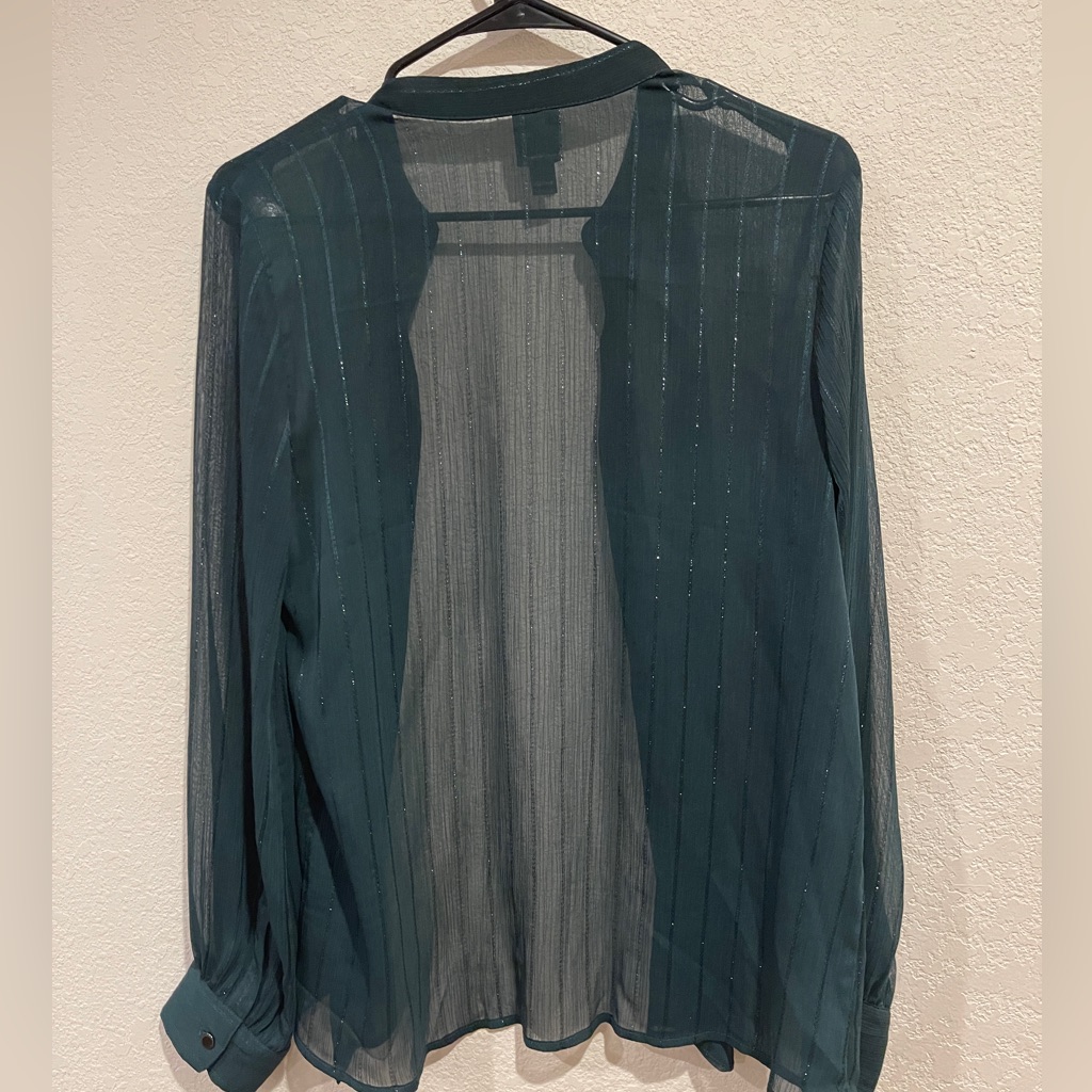 Green Sheer Button Down